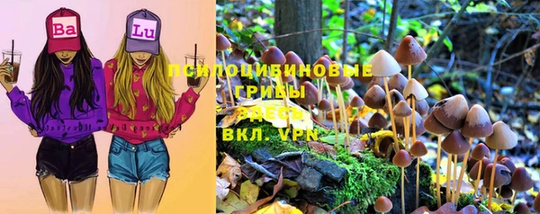 2c-b Гусь-Хрустальный