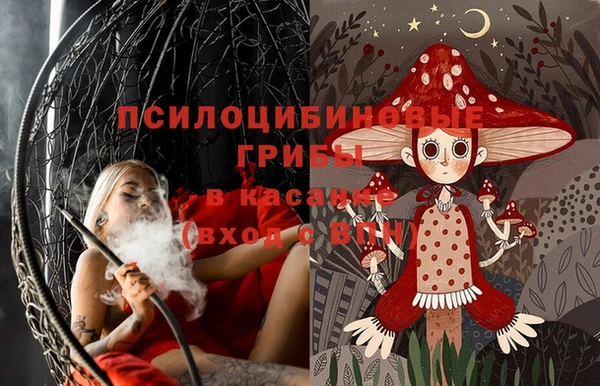 2c-b Гусь-Хрустальный