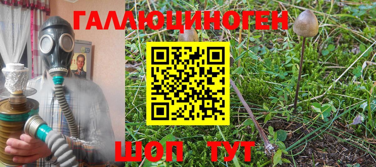 Псилоцибиновые грибы ЛСД  купить  цена  Вход с VPN  Междуреченск  Галлюциногенные грибы Magic Shrooms 