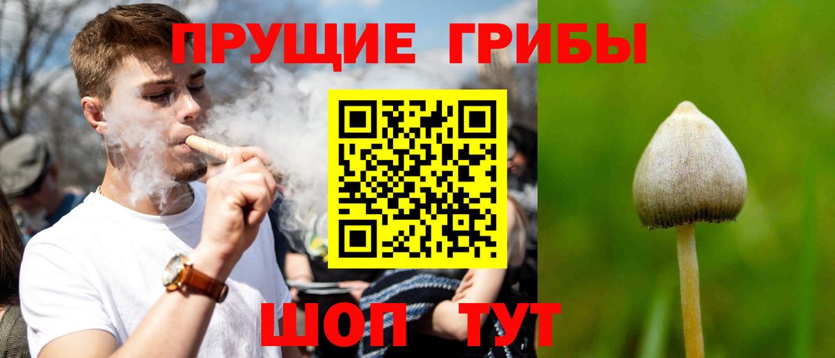 Псилоцибиновые грибы мухоморы  Междуреченск 